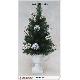 Christmas Trees, kwi0900946