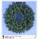 Christmas Wreaths, kwi0600119