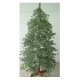 Christmas Tree, KWI0601077