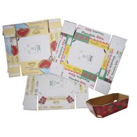 Fruit Box
