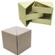 Opening Gift Box