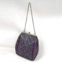 Shiny Pvc frame bags