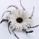 Corsage