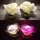 Floating Flower