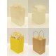 Paper Handle Bags