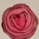 Fur Corsage, FR10029