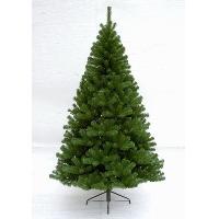 Douglas fir 7ft (2.10m) tree
