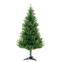 Canadian pine 6ft (1.80M) tree