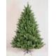 Burlington pine 7ft (2.10M)?tree
