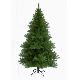 Alaska pine 7ft (2.10m) tree