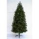 Frasier pine 6ft (1.80m) slim tree, PGTS60674