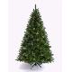 Javari pine 7ft (2.10m) tree with cones, JNPTR701151C