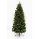 Mountain pine 9ft (2.70m) slim tree