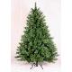 Needle pine 7ft (2.10m) tree
