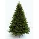 Oregon fir 7ft (2.10m) tree with cones