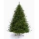 Orlando fir 7ft (2.10m) tree