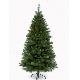 Peacock pine 6ft (1.80m) slim tree