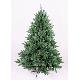 Scarlet pine 6ft (1.80m) tree, SCTR601105