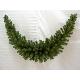 Canadian pine 12 inches (30cm) wreath with cones