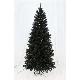 Black pine 7ft (2.10m) slim tree, BHTS70848B
