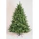 Burlington pine 7ft (2.10m) tree