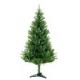 Canadian pine 6ft (1.80M) tree