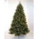 Javari pine 7ft (2.10M) tree