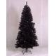 Noble black pine 7ft (2.10M) slim tree