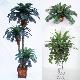 Trees & Foliage Arrangements