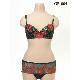 Bra & Brief