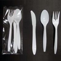 Disposable Tableware(Individually Wrapped) (Teaspoon+Knife+Fork)
