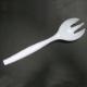 Big Fork