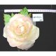 Corsages, KFW91270