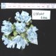 Fancy Paper Flowers