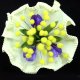Occasional Items