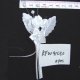 Flower Bunches