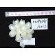 Flower Bunches