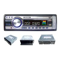 LCD Car DVD Player