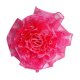 Garment Accessories