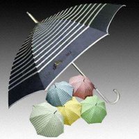 Folding Umbrella