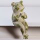 Frog- B