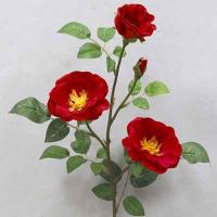 Wild Rose Spray # Velvet Red