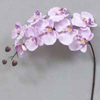 Super Orchid x9 41 inches # Lavender