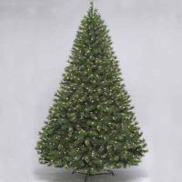 Silver fir 7.5' ltd tree