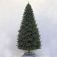 Belmont cedar 9' tree