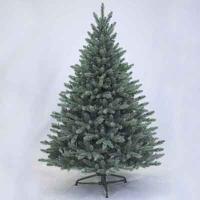 Sherwood Blue Spruce 5' Tree