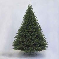Sherwood Green Spruce 6' Tree