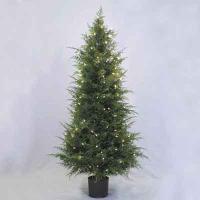 Cedar Full 5' Ltd Topiary Tree w/Pot