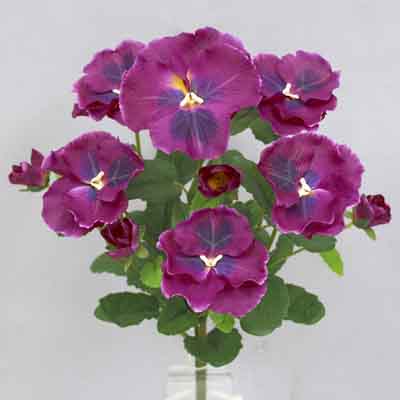 Pansy bush 14 inches # Violet