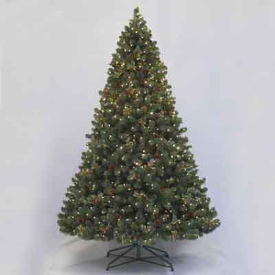 Berrywood Fir 8' ltd tree